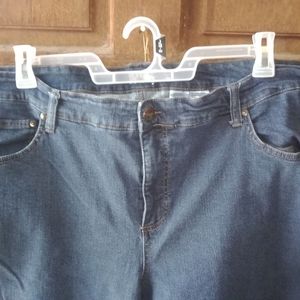 Terra and Sky women's blue jeans